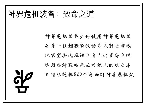 神界危机装备：致命之道